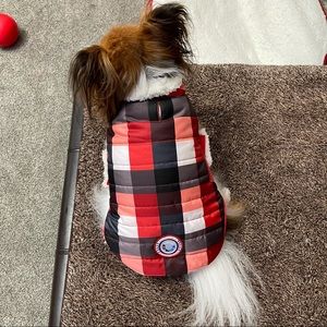 cold alert dog jacket